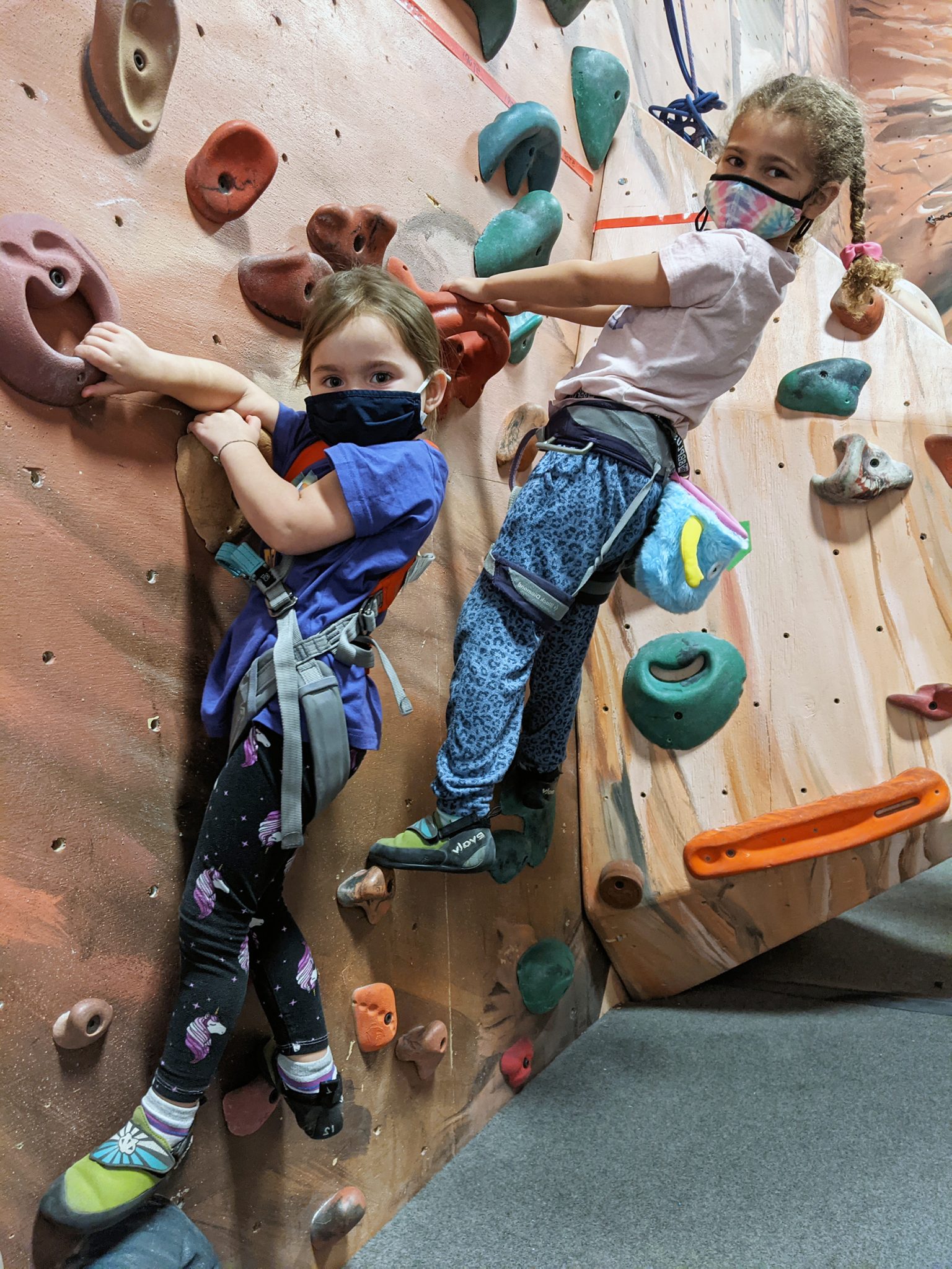 Youth Camp Rock Climbing Gyms